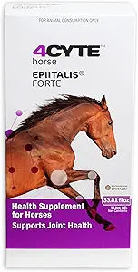 4CYTE HORSE