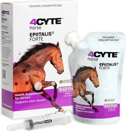 4CYTE HORSE