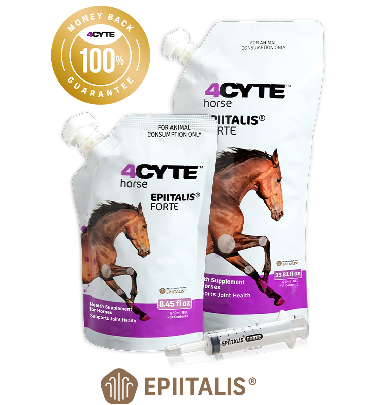 4CYTE HORSE