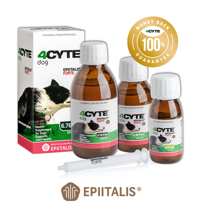 4CYTE DOG