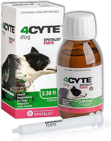 4CYTE DOG