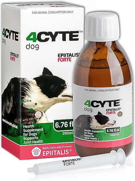 4CYTE DOG