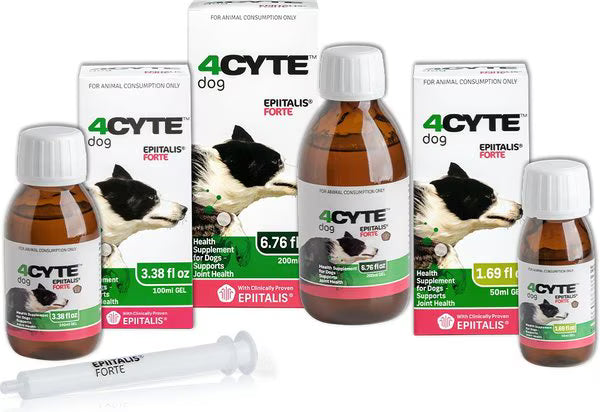 4CYTE DOG