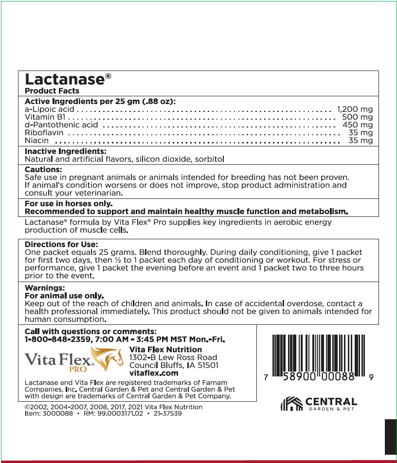 VITA FLEX LACTANASE 25 GRAM