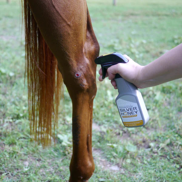 SILVER HONEY RAPID WOUND REPAIR SPRAY 8OZ