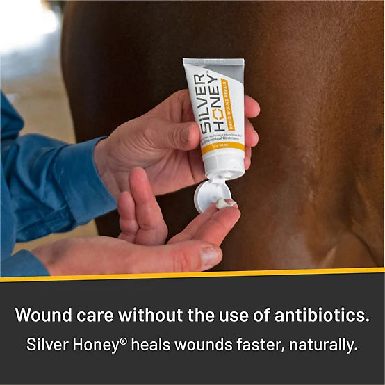 SILVER HONEY RAPID WOUND REPAIR OINTMENT 2OZ