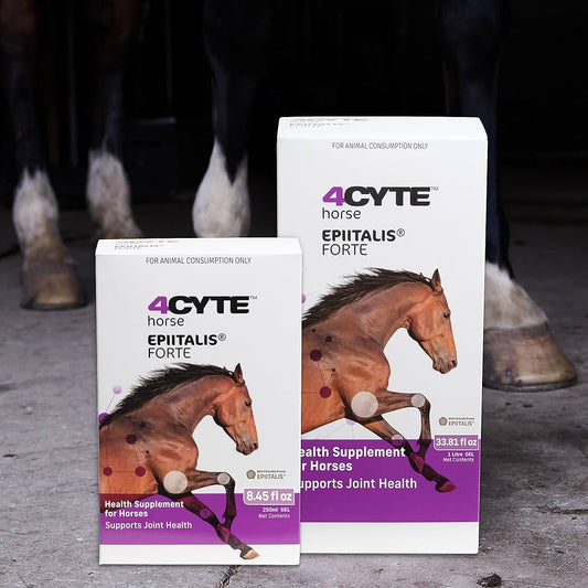 4CYTE HORSE