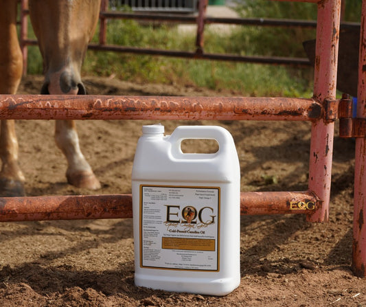 EQUINE OMEGA GOLD GALLON