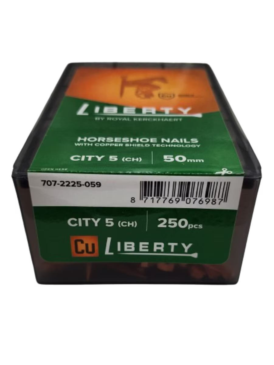 LIBERTY NAIL CU CITY 5 250 COUNT