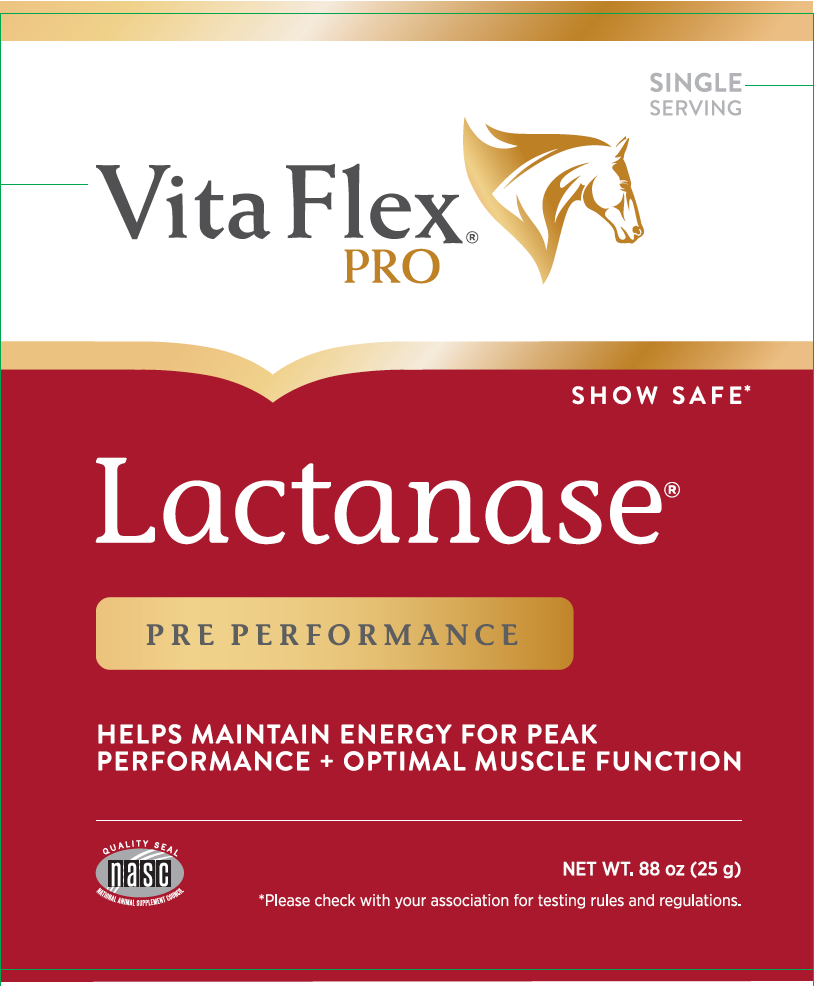 VITA FLEX LACTANASE 25 GRAM