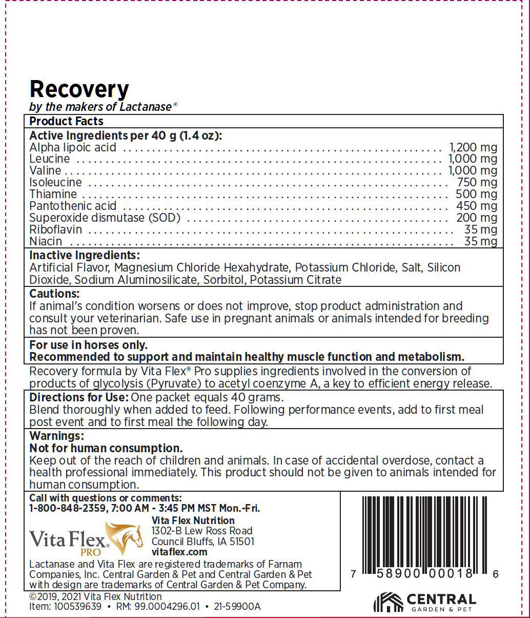 VITA FLEX RECOVERY 40 GRAM