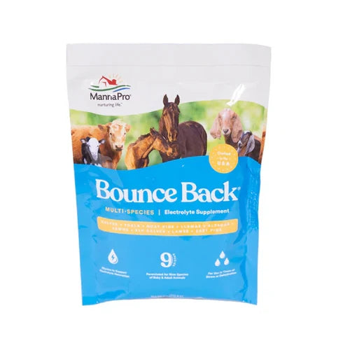 BOUNCE BACK MULTI-SPECIES ELECTROLYTE SUPPLEMENT 4OZ