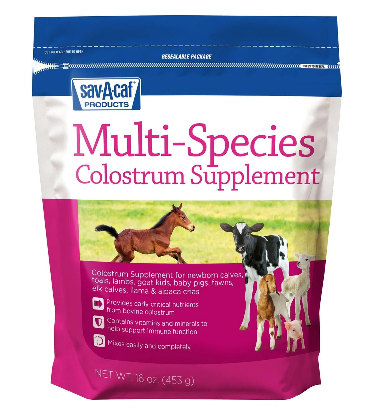 MULTI-SPECIES COLOSTRUM SUPPLEMENT 16OZ