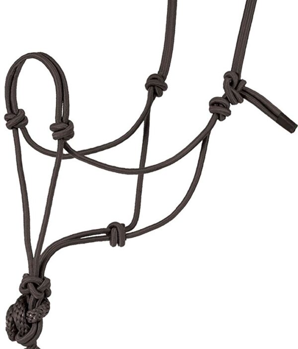 Halters/Leads