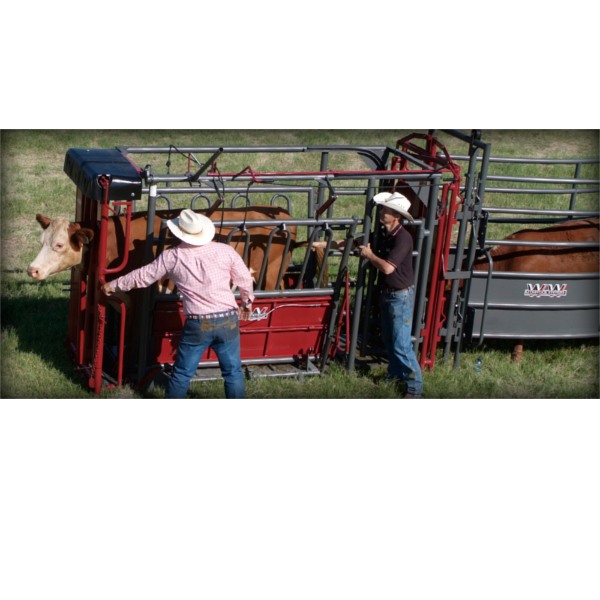 Cattle Chutes/Accessories