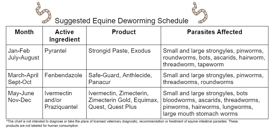 equine deworming schedule rotation