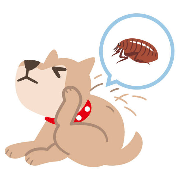 flea and tick